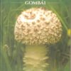 Sepsiszentgyörgy gombái