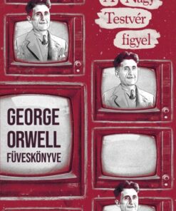 A Nagy Testvér figyel
