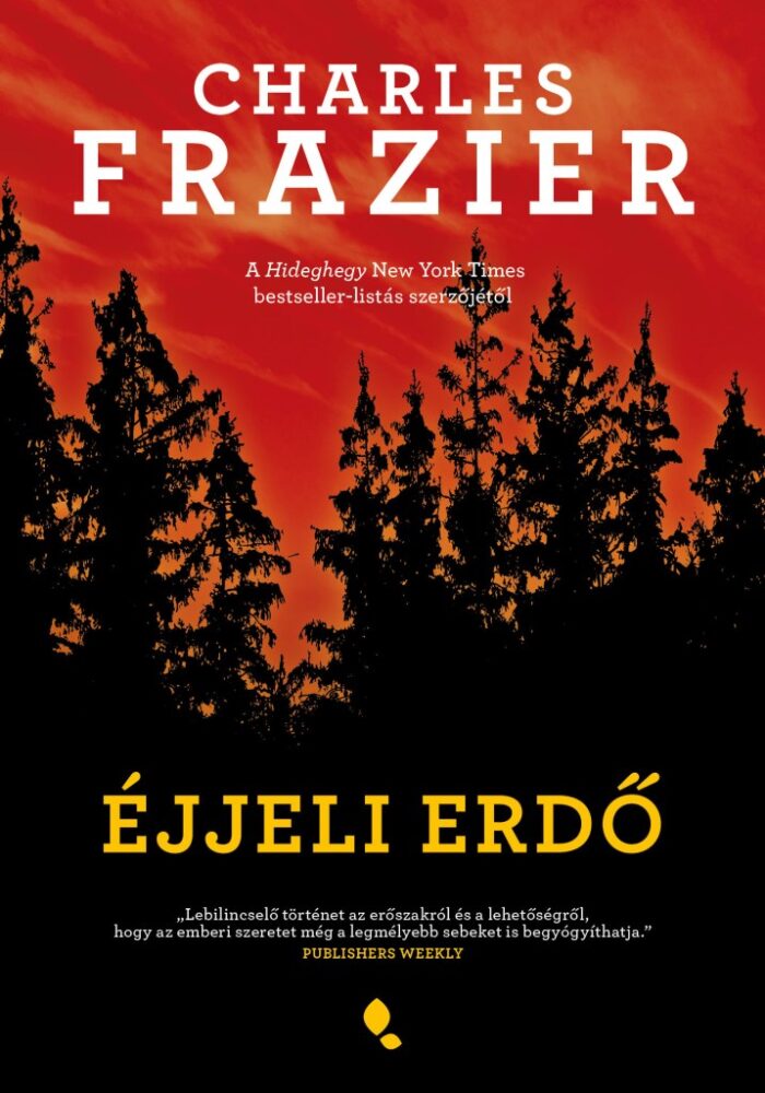 Éjjeli erdő