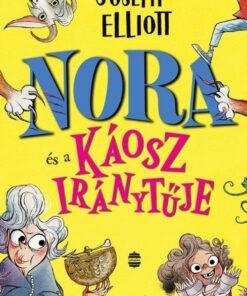 Nora és a Káosz iránytűje