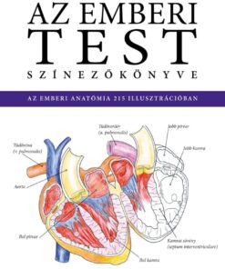 Az emberi test színezőkönyve
