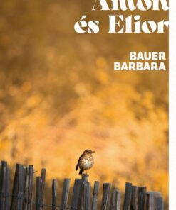Ámon és Elior