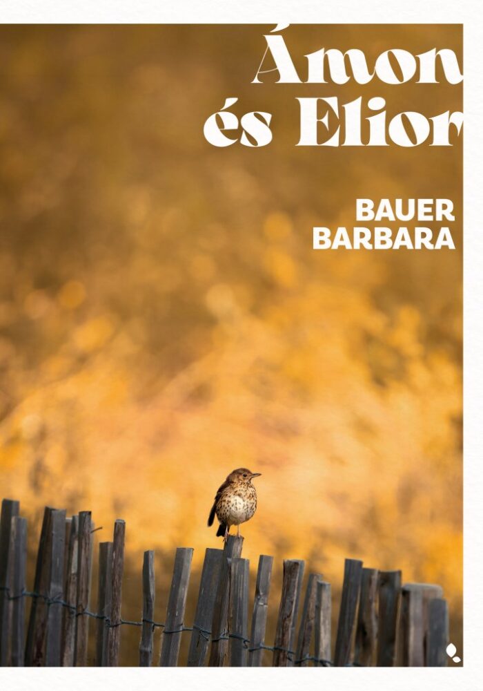 Ámon és Elior