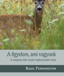 A figyelem, ami vagyunk