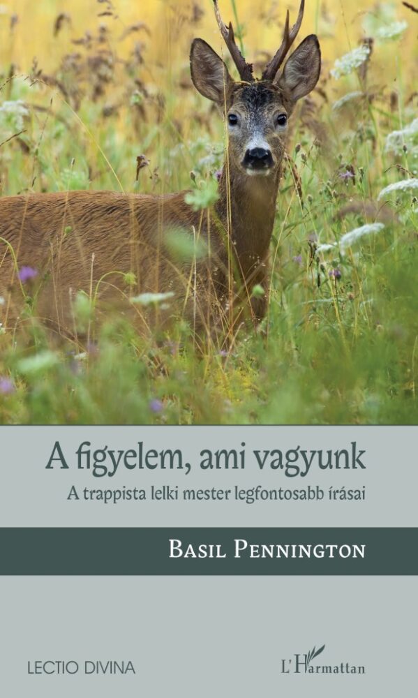 A figyelem, ami vagyunk