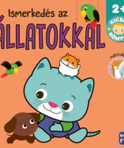Kicsik könyve - Ismerkedés az állatokkal