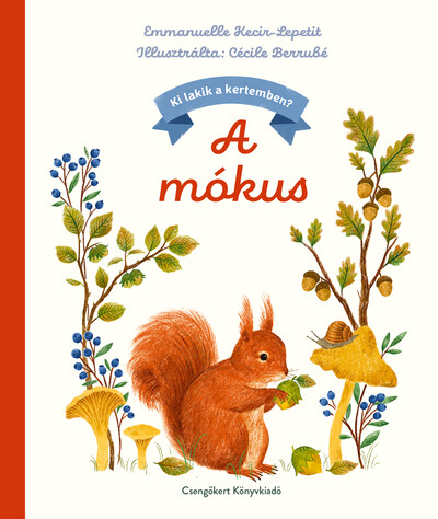 A mókus