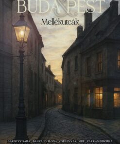 Buda & Pest - Mellékutcák