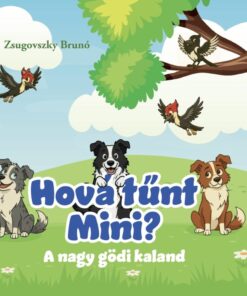 Hová tűnt mini?