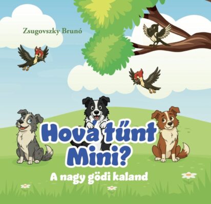 Hová tűnt mini?
