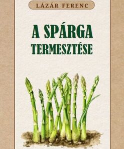 A spárga termesztése