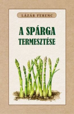 A spárga termesztése