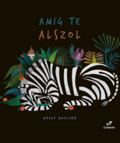 Amíg te alszol