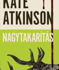 Nagytakarítás