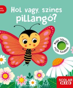 Hol vagy, színes pillangó?