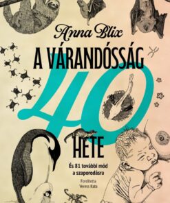 A várandósság 40 hete