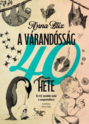 A várandósság 40 hete