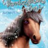 Varázslatos póni – Téli álomvilág