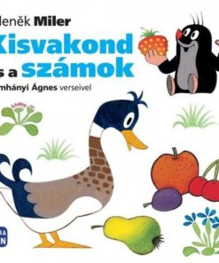 Kisvakond és a számok