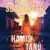 Hamis tanú
