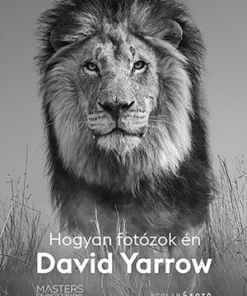 Hogyan fotózok én - David Yarrow