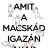 Macskanyelv