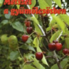 Metszés a gyümölcsösben
