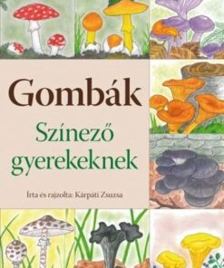 Gombák - Színező gyerekeknek