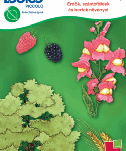 LOGICO Piccolo 3462 - Ismeretek 2-3. osztály