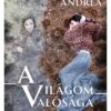 A világom valósága