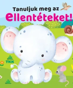 Tanuljuk meg az ellentéteket!