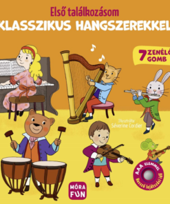 Első találkozásom klasszikus hangszerekkel