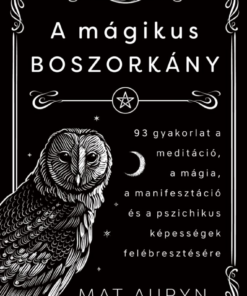 A mágikus boszorkány