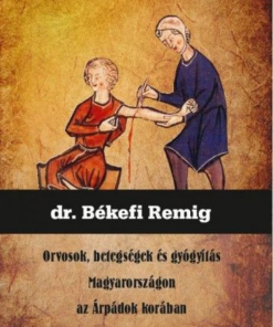 Orvosok, betegségek és gyógyítás Magyarországon az Árpádok korában