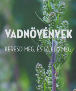 Vadnövények - Keresd meg és ízleld meg!