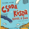 Csoda és Kósza körül a Föld